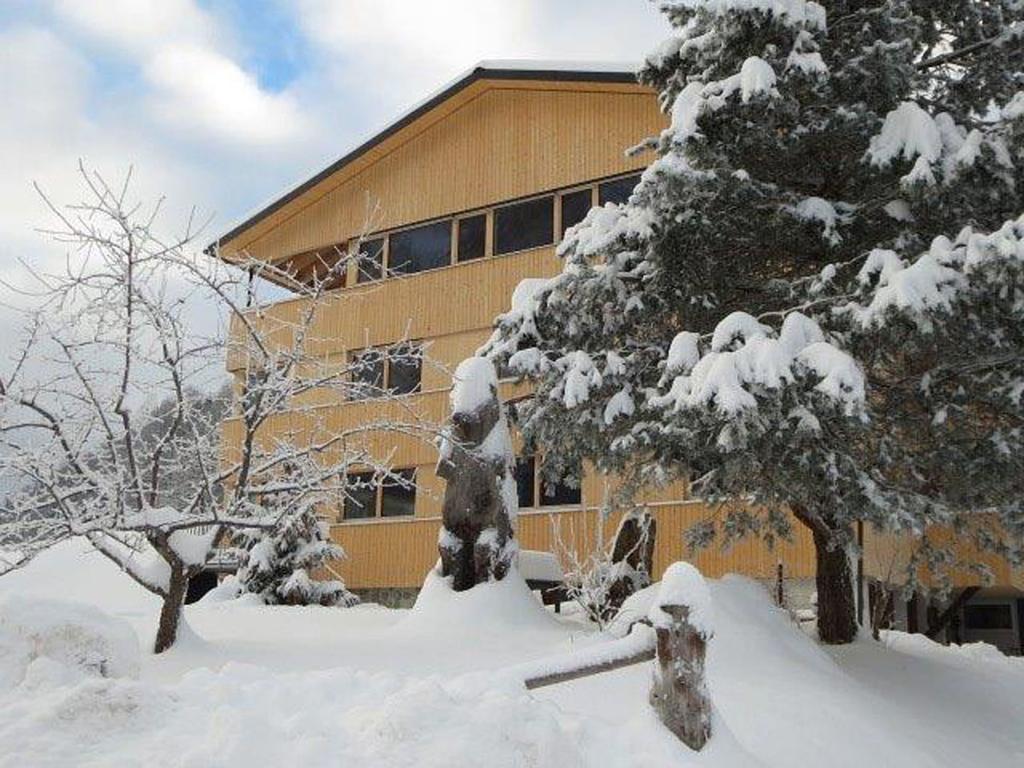 Haus Katharina Apartment Schnepfau Екстериор снимка